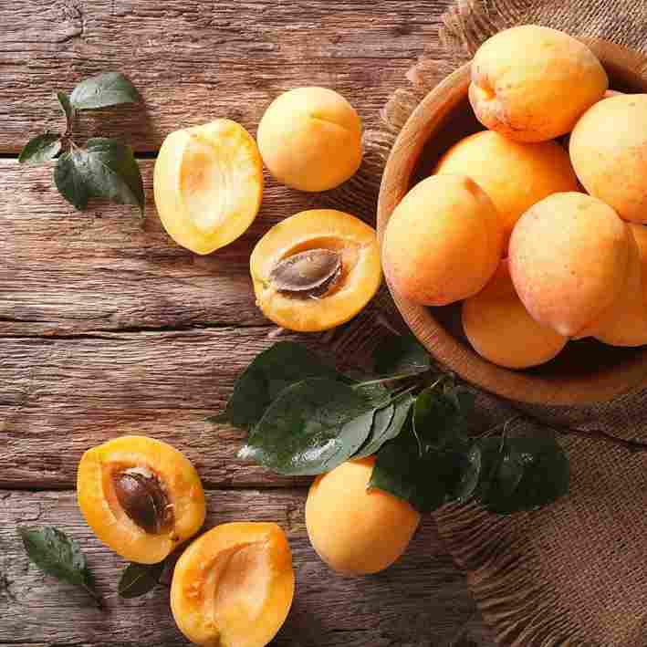 قیسی برای لاغری با اندازه مناسب برای مصرف مدیریت شده